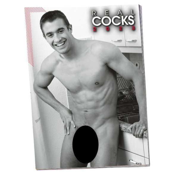 2026 Men’s Nude Calendar