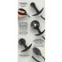 You2Toys - Black Inflatable Beaded Anal Plug