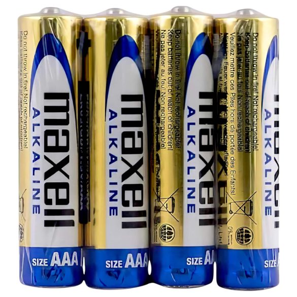 Long-Lasting AAA Batteries (4-Pack) 