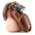 CB-6000 - Luxury Wooden Locking Chastity Cage