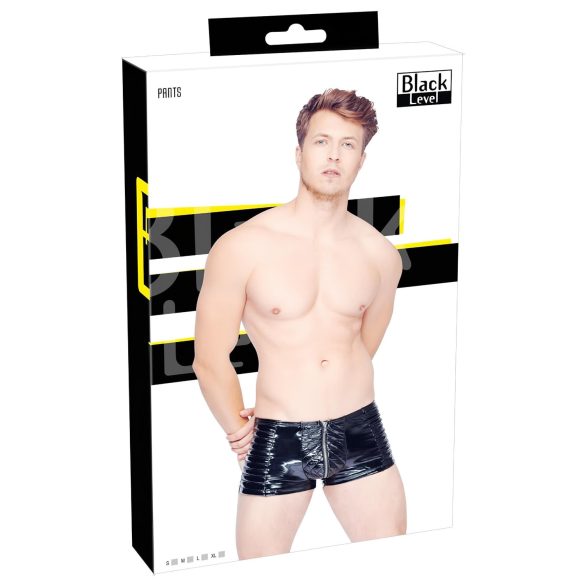Black Level - Men's Zippered Shorts (Black) - L