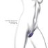 Love to Love Wonderlover - Clitoral Stimulating G-Spot Vibrator (Purple)