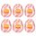 TENGA Egg Tube - Egg-Shaped Male Masturbator (6 Pack)