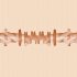 Fleshlight Vina Sky Exotica - Lifelike Personal Stroker (Natural)
