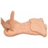 Realistixxx Male Torso - Lifelike Pleasure Device
