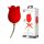 Pretty Love Rose Lover - Tongue 2in1 Clitoral Vibrator (Red)