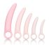 CalExotics Inspire - Health & Wellness Vaginal Dilator Set (Pink)