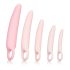 CalExotics Inspire - Health & Wellness Vaginal Dilator Set (Pink)