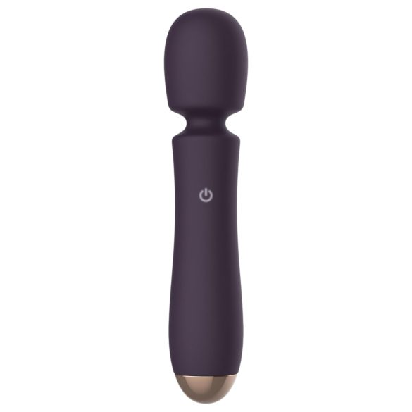 Raytech - Rechargeable Waterproof Massager Vibrator (Purple)