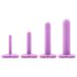 Blush Wellness – Vaginal Dilator Set (Purple)