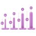 Blush Wellness – Vaginal Dilator Set (Purple)