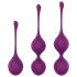 Engily Ross Taylor 2.0 - 3-Piece Kegel Ball Set (Purple)