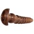 Evolved Twisted Love - Wood-Tone Anal Dildo Set