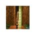 Evolved Twisted Love - Wood-Tone Anal Dildo Set