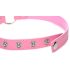 Master Series Kinky Kitty - Collar with Cat Head Ring (Pink)