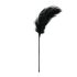 EasyToys - Long Feather Teaser (Black)