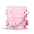 Advanced BDSM Set - 14-Piece Secret Pleasure Chest (Pink)