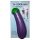 Stealthy Sip - Eggplant Bottle (Purple)